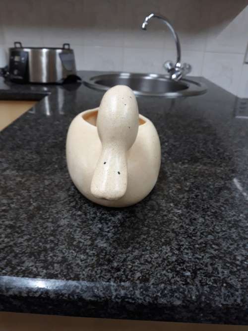 ###Medium ceramic duck planter###