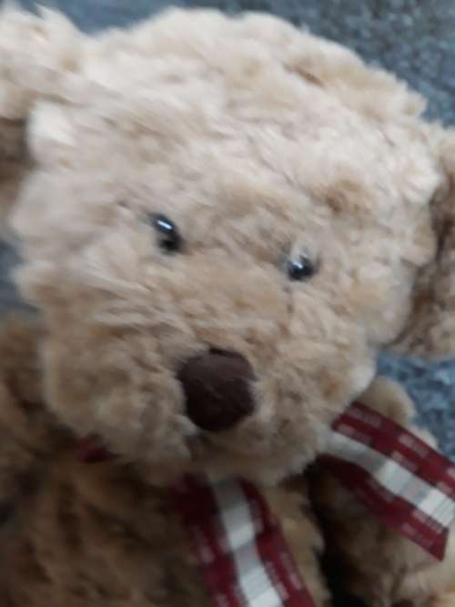 ##Russ Berrie - Ellington teddy bear##