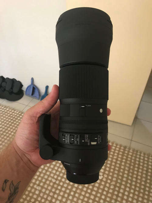 Sigma 150-600mm F5-6.3 Contemporary Lense Nikon fit