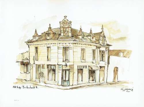 Tony Grogan`s Vanishing Cape Town