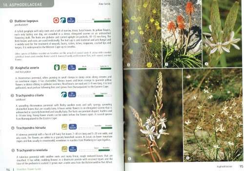 Grootbos Nature Reserve