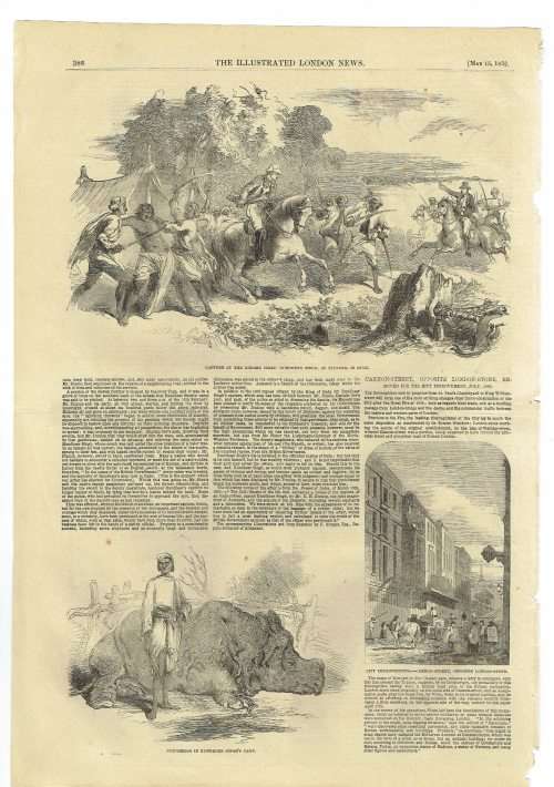 Illustrated London News. 100 loose leaves illustrated with superb original wood-engravings. 1850s