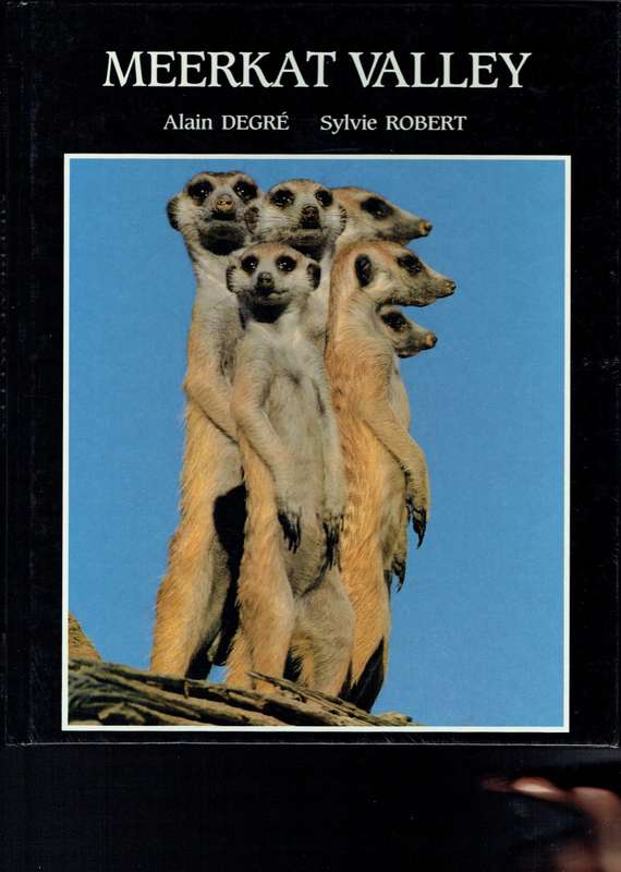 Meerkat Valley