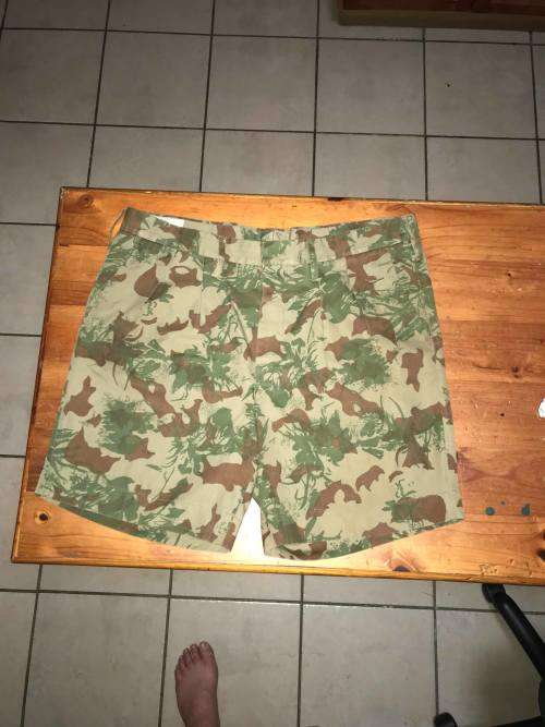 SAP Camo