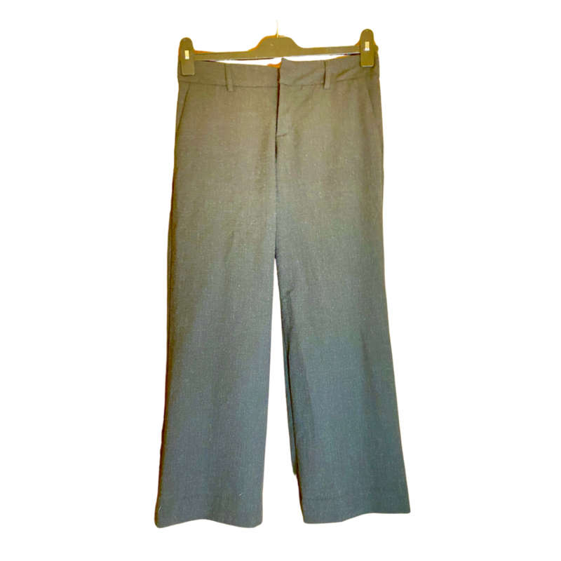 Zara pants Size: 6/30