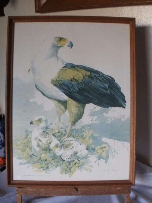 FISH EAGLE - SIGNED