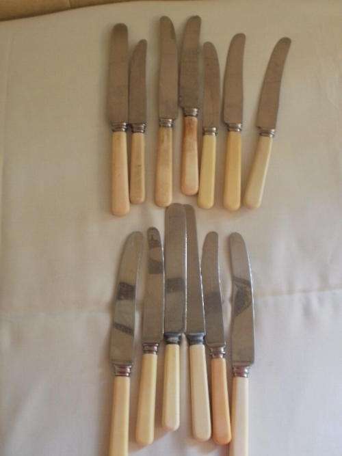 MIXED IVORINE HANDLE KNIFES
