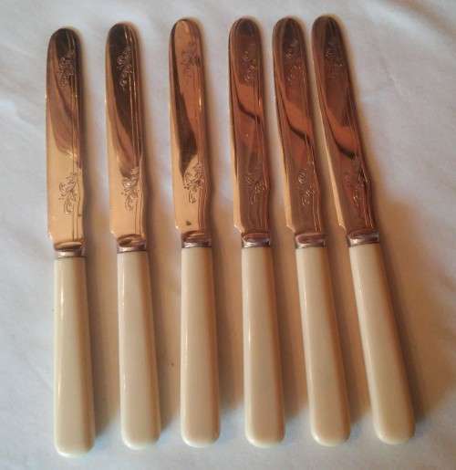 SET X6 BONE HANDLE FRUIT/PATEE KNIFES (A)