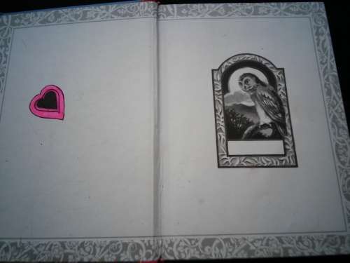 POLLYANNA