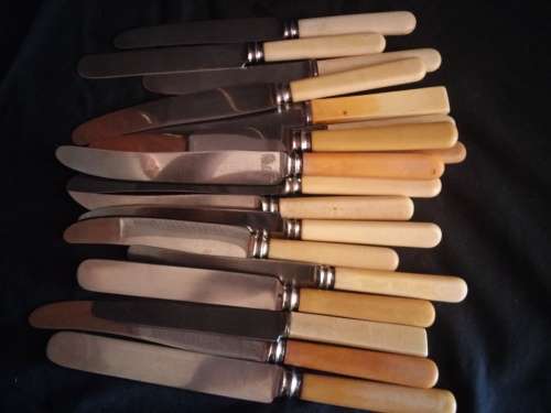 18 BONE STYLE HANDLE KNIFES