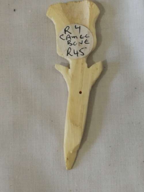 Camel Bone (a)