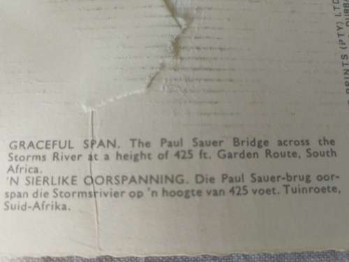 Postcard: Graceful Span