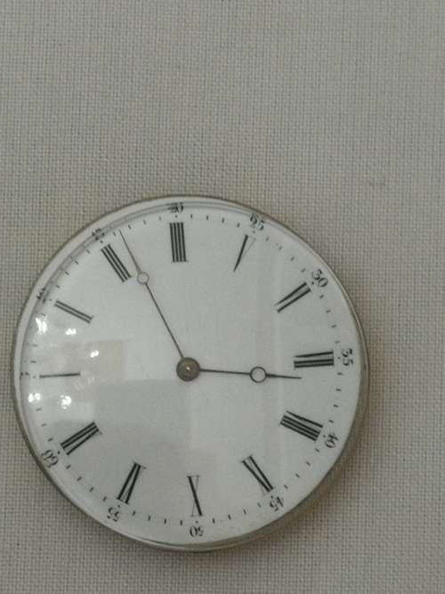 Watch movement with dial (d)