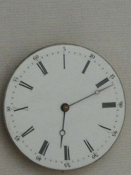Watch movement with dial (d)