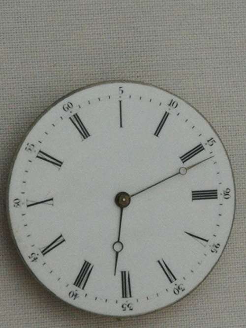 Watch movement with dial (d)