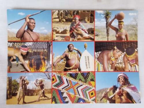 Safari Card - Post Card