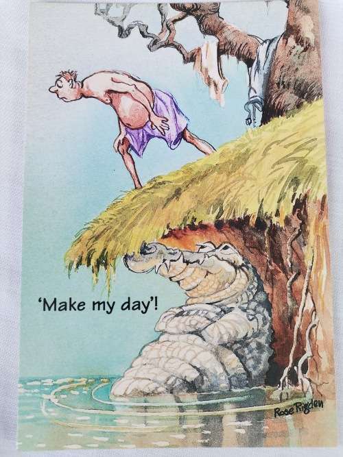 Rose Rigden - The Natural Selection Post Card