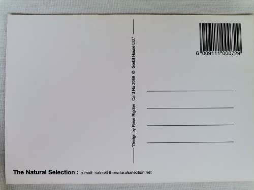Rose Rigden - The Natural Selection Post Card