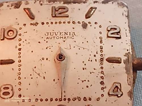 Juvenia  Automatic movement, Dial and Hands. Needs a service