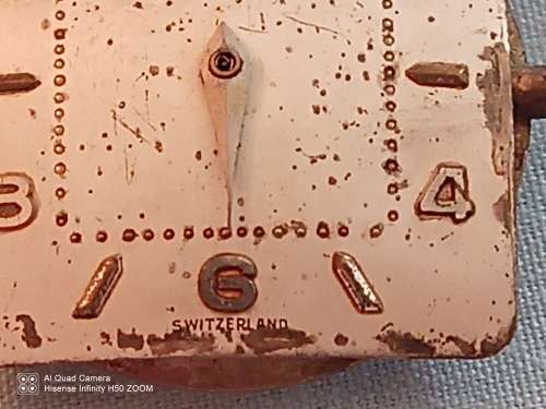 Juvenia  Automatic movement, Dial and Hands. Needs a service