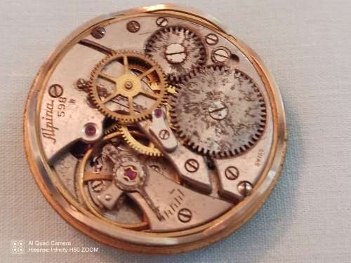Alpina movement for repair