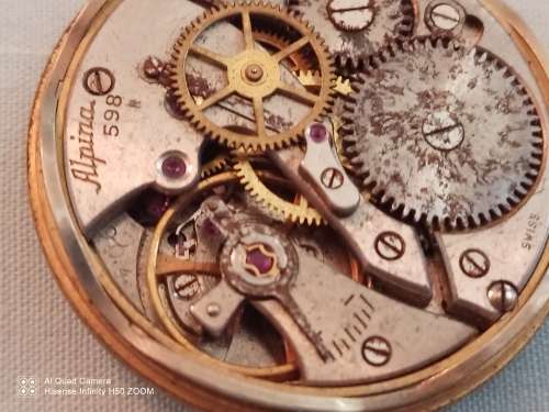 Alpina movement for repair