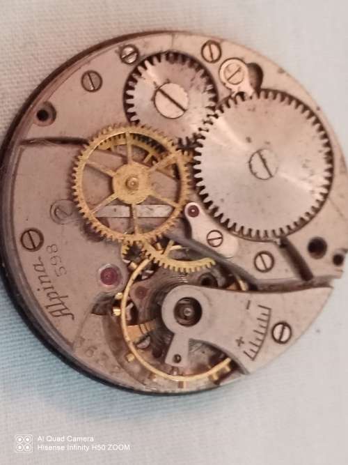 Alpina movement for repair