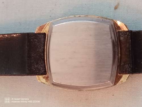 Osco Watch casing with strap