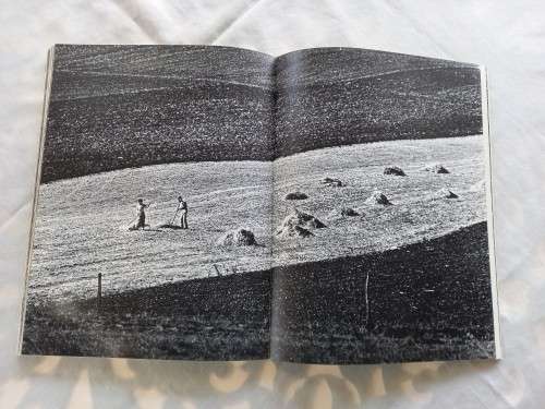 Face of south Africa By Chris Jansen