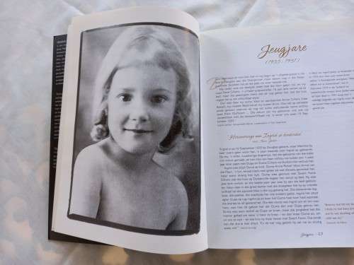 Ingrid Jonker, Beeld van n digterslewe