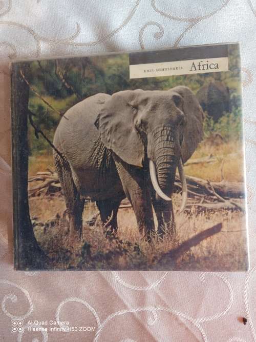 Africa: Emil Schulthess
