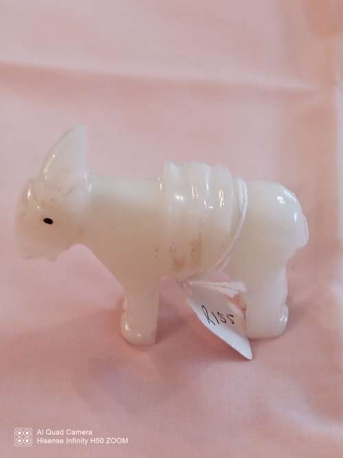 White donkey