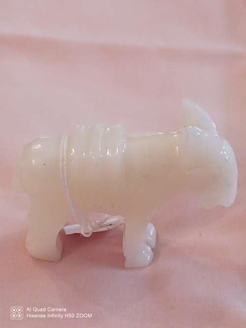 White donkey