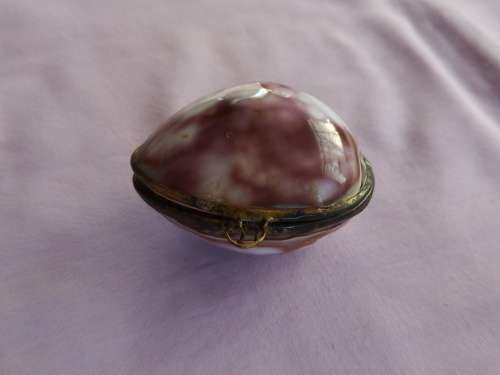 Shell Coin holder