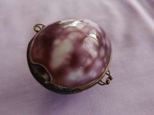 Shell Coin holder