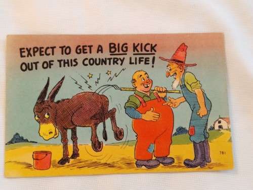 Expect to get A BIG KICK out of this country life!