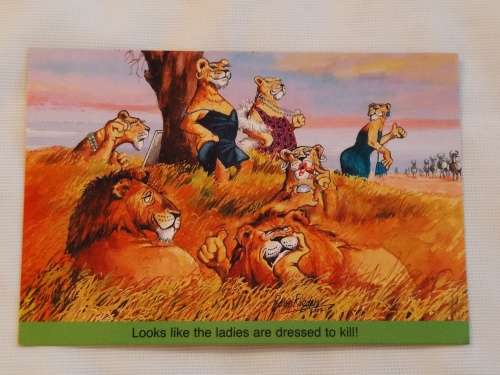 Looks like the ladies are dressed to kill