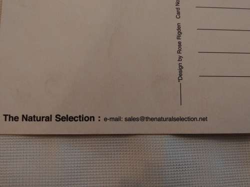 The Natural Selection: design by Rose Rigden