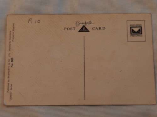 The Male Octopus has eight tentacles:  Post card
