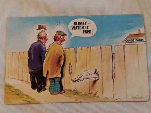 `Blimey -watch it Fred! Post Card