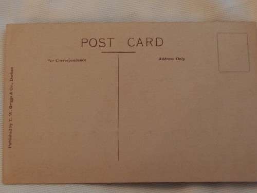 Town Hall. Durban. Post Card