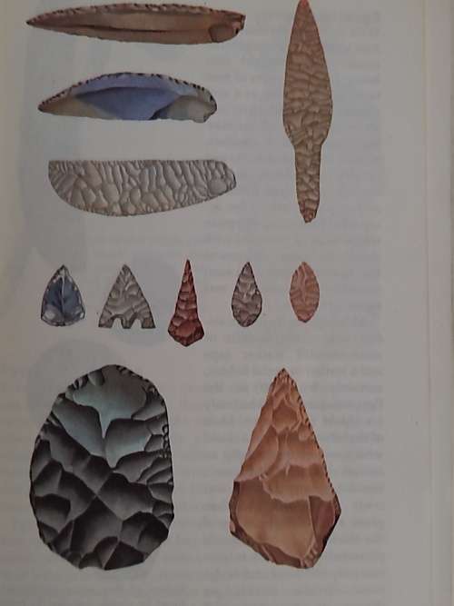 Arms and Armour by Fredirick Wilkinson dd 1971