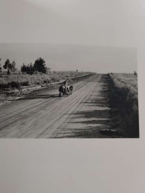 Kith, Kin & Khaya South African Photographs , David Goldblatt