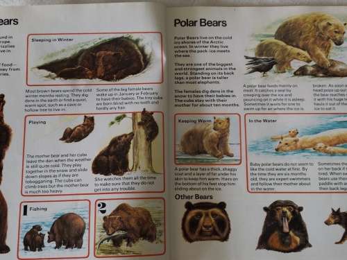 How Animals Live