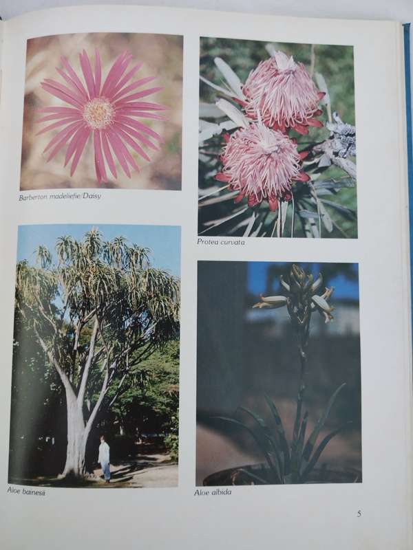 Photo History of Barberton 1884-1984 by Staff of the Barberton Museum