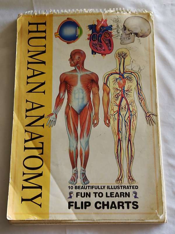 Human Anatomy flip chart