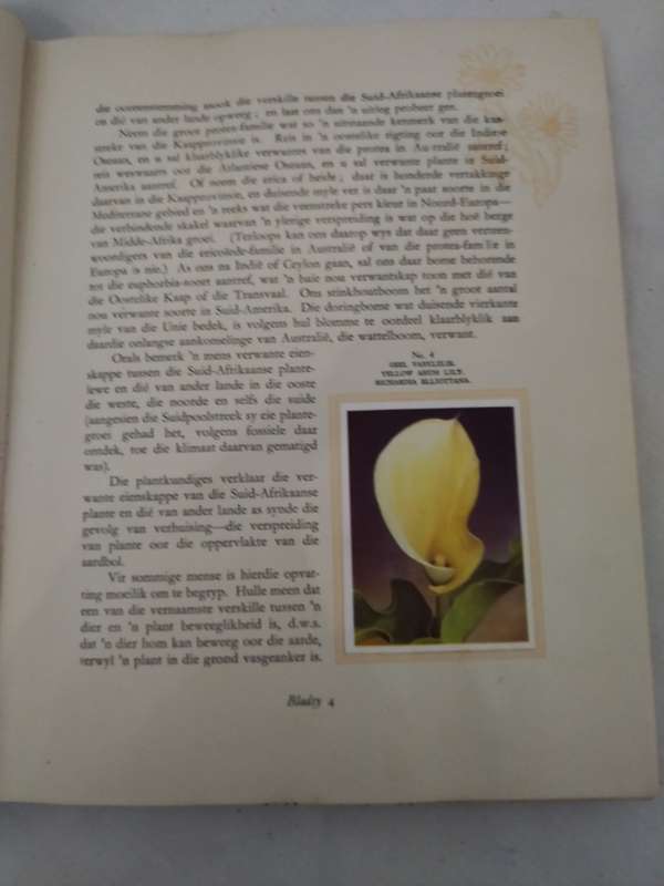 Our South African Flora/Ons Suid-Afrikaanse Plantegroei