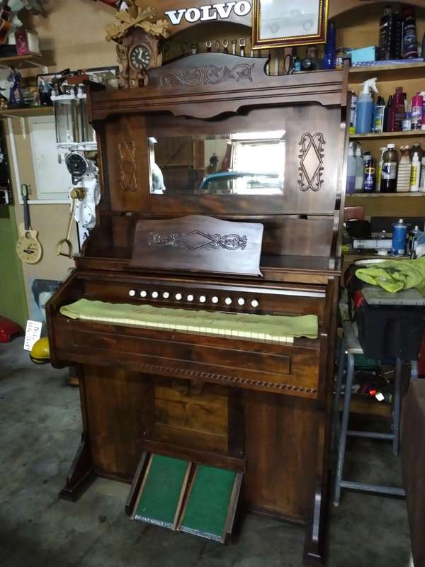 Antique Organ: Darter & Son`s Sole Agents For Cape Colony , Cape Town & East London