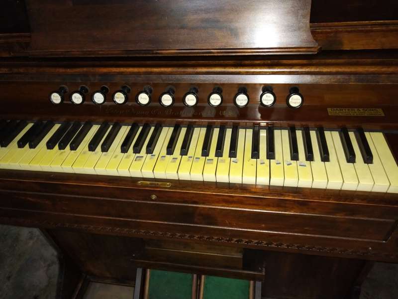 Antique Organ: Darter & Son`s Sole Agents For Cape Colony , Cape Town & East London