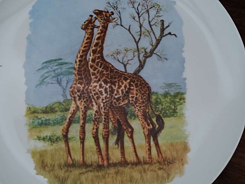 Crescent Ware Luipaardsvlei South Africa Plate